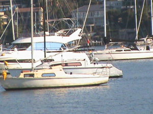 DSC00204.JPG