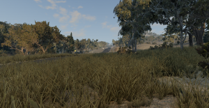 road.png