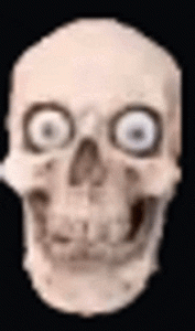 skull-memes.gif