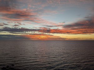 PXL_20250217_094435915.jpg