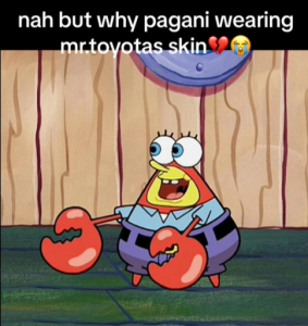 IMG_3313.png