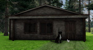 image211.png