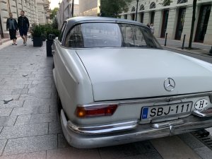 IMG_7087.jpeg