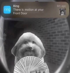 91a7e065ffeac50f29cec553079ee0b9.png