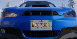 licenseplate_us_focus.png