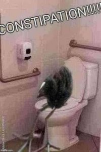 IMG_4726.jpeg