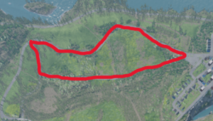 screenshot_2025-07-13_14-36-18-Kopie.png