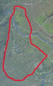 StreetTrack4.png