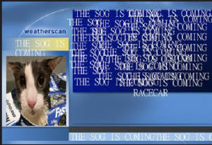 Sogcarl.png