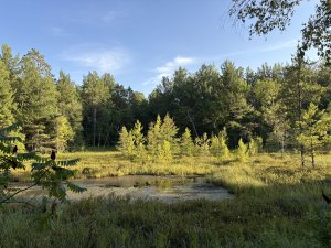 IMG_0378.jpeg