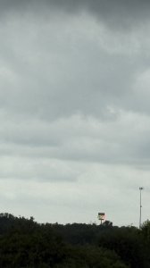 IMG_0214.jpeg