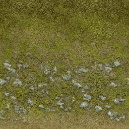 Side_GrassLight_bcolor.png