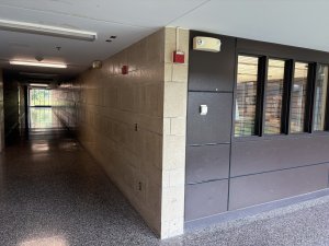IMG_1004.jpeg