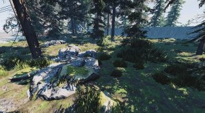 Spawn_Forest_Preview.jpg