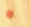 SPOILER_omg.png