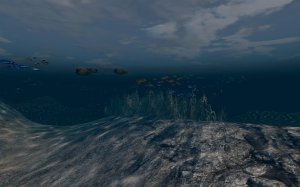 screenshot_2025-09-19_20-16-27.jpg