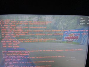 IMG_4373.jpeg