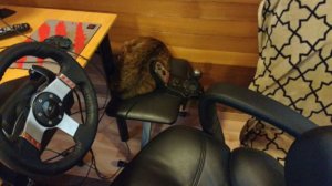 co-driver 2.jpg
