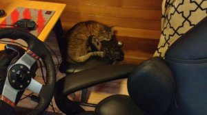 co-driver 1.jpg