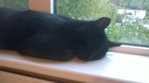 2016-05-08 20.24.31.jpg