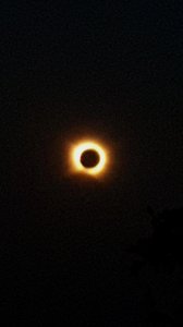 20260812_202844.jpg