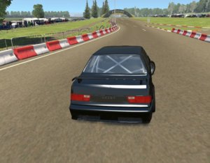 bug3.JPG