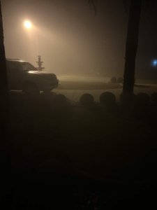 IMG_2934.jpg