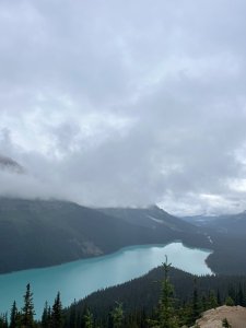 IMG_2277.jpeg