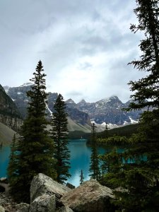 IMG_2308.jpeg