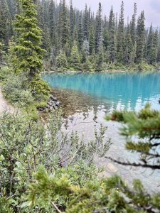 IMG_2338.jpeg