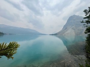 IMG_2336.jpeg
