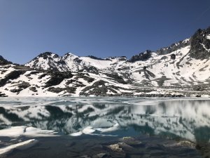 IMG_9272.jpeg