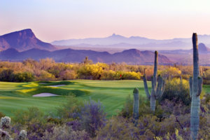 Gallery-at-Dove-Mountain-9.jpg