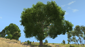 screenshot_00261.png