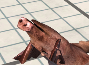 screenshot_00314.png