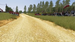 Screenshot_rl_ford_fiesta_wrc_s1_simtraxx_rpsg_0.8_24-7-116-21-5-22.jpg