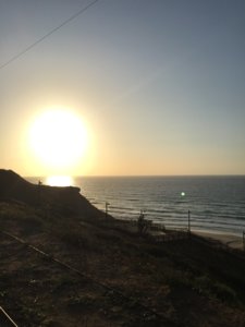 IMG_0117.JPG