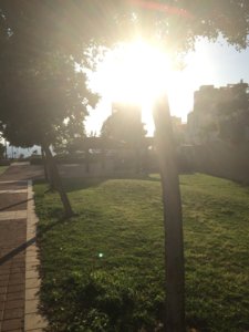IMG_1775.JPG
