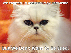 grumpycatmeme-300x225.jpg
