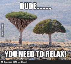 relax..jpg