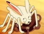 bug3.jpg