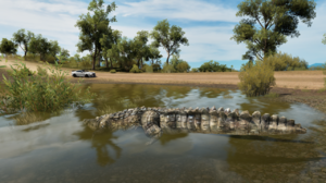 Forza Horizon 3 (10).png