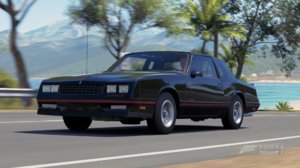 Monte_forza 2.jpg