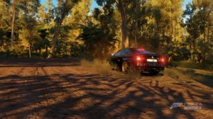 forza1.jpg