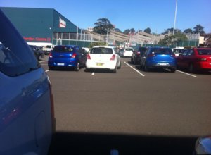 bunnings fucktard.jpg