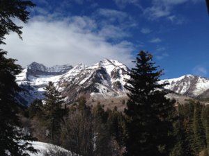 IMG_0995[1].JPG