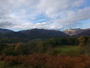 IMG_20161024_120702798.jpg