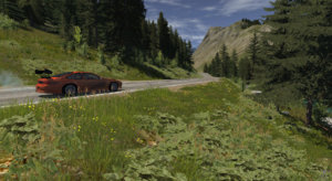 215.jpg