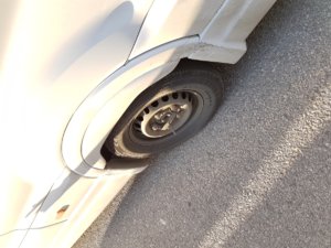 Optimized-20161117_161844.jpg