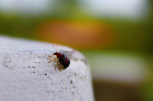 IMG_6993.jpg